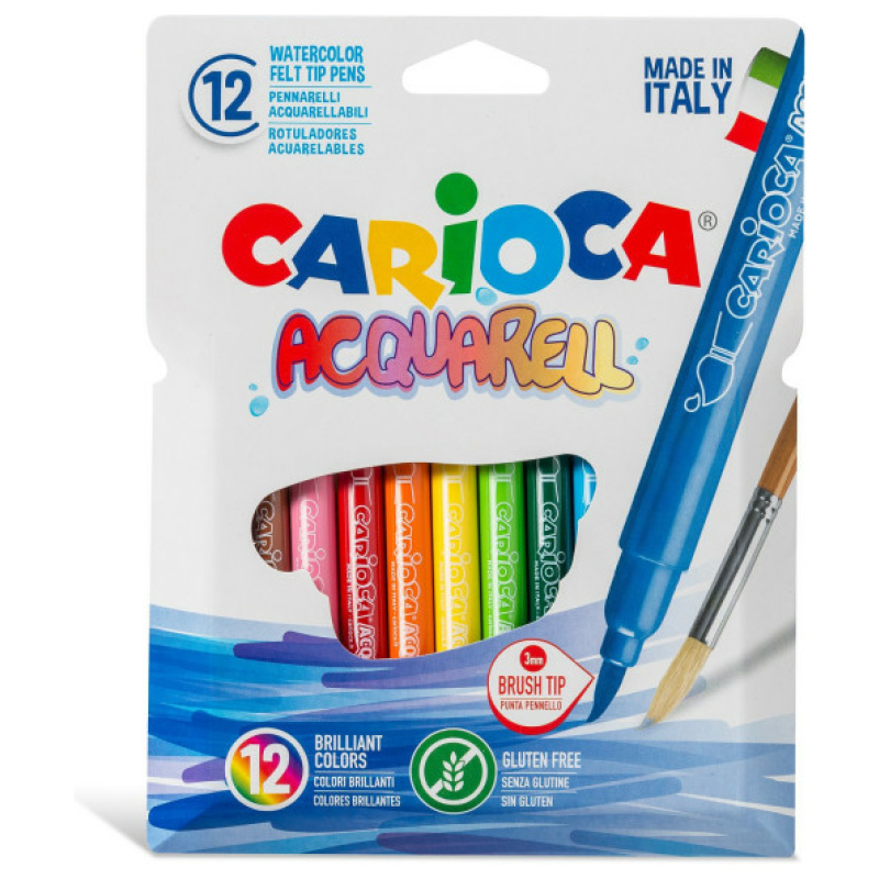 الوان فلوماستر اكوريل كاريوكا 12 لون