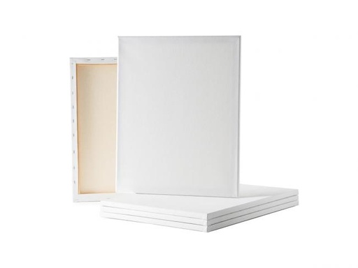 [0204010015] كانفس 20*30 روية